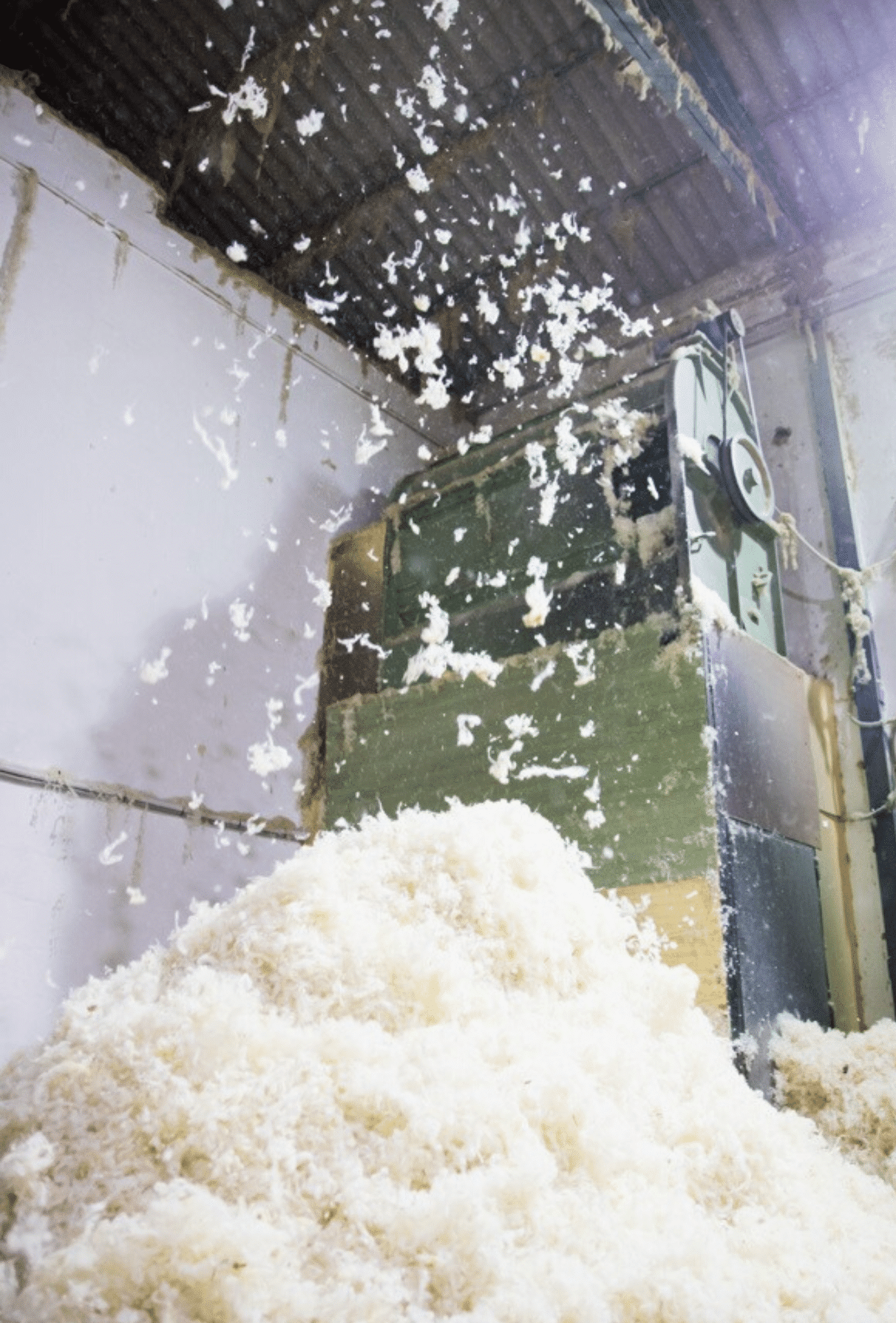 Guided Tour - Trip to the Wool Center (June 14)