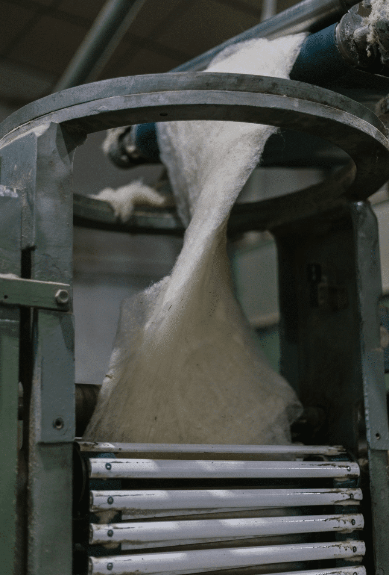 Guided Tour - Trip to the Wool Center (June 14)