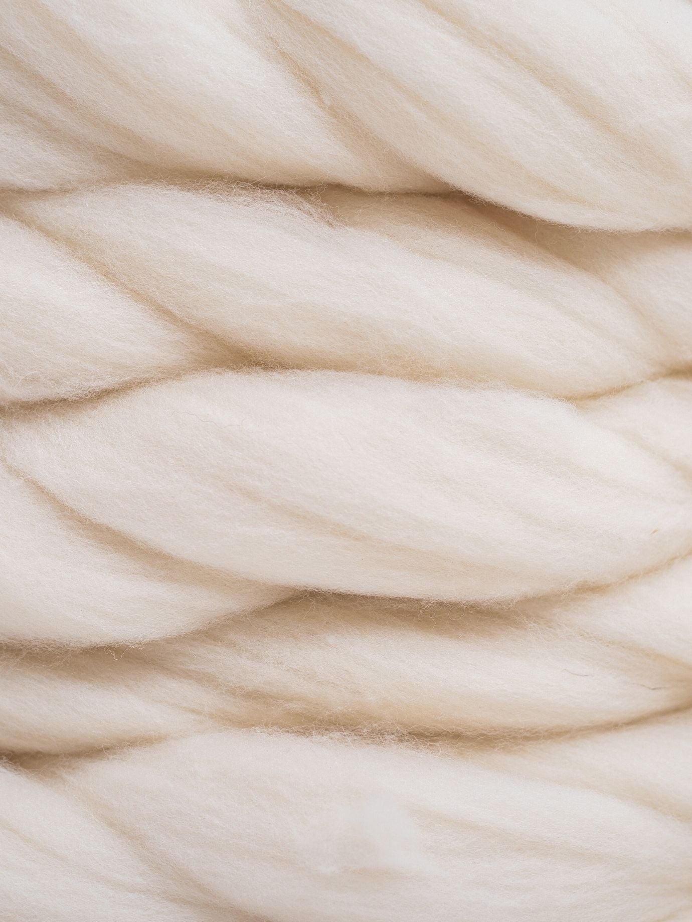 Combed Wool from Transhumance - Natural White Color