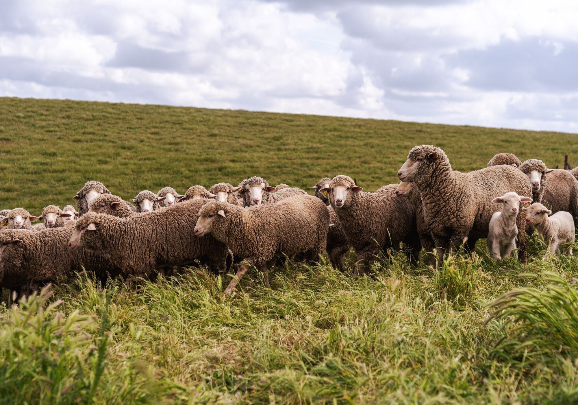 ¿Por qué Origen es tan especial?