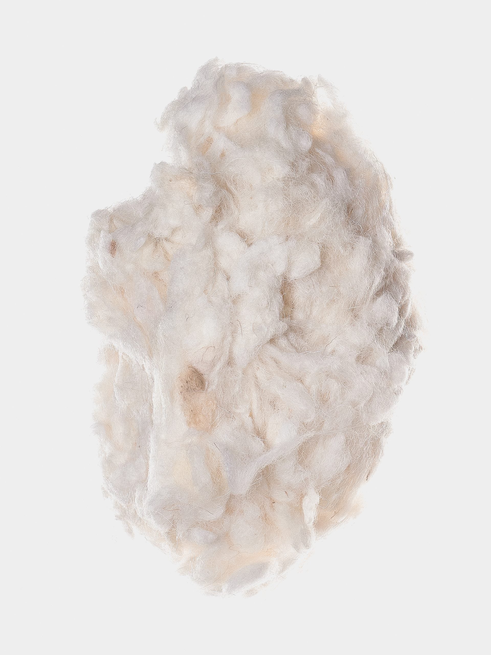 Washed Wool - 100% Spanish Wool