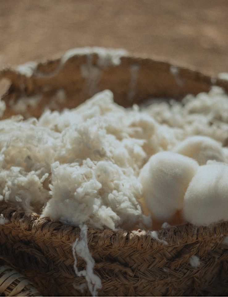 Guided Tour - Trip to the Wool Center (June 14)