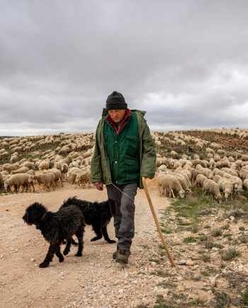 Camino de Lana: Experiencia Trashumante - 8 y 9 de Noviembre